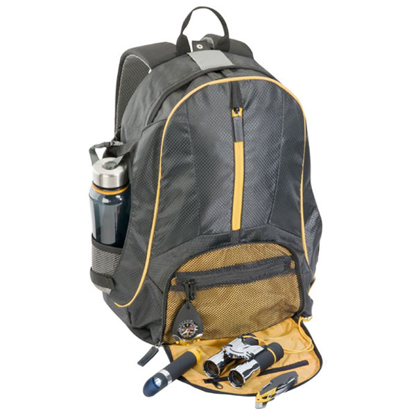Promotional BackPacks