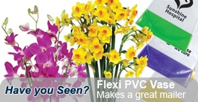 Promotional Flexible PVC Vase make great marketing mailing pieces