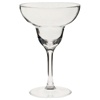 Margarita Polycarbonate Glasses