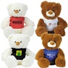 Coconut White and Coco Brown Plush Teddy Bear